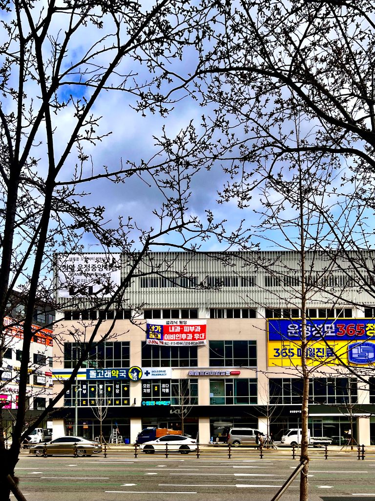 돌고래약국 거리 외관